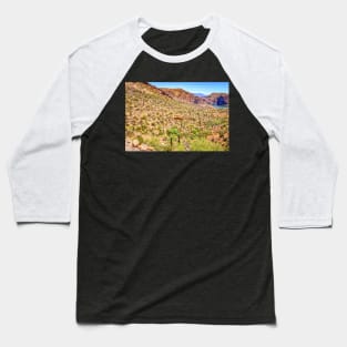 Apache Trail Scenic Drive View Baseball T-Shirt